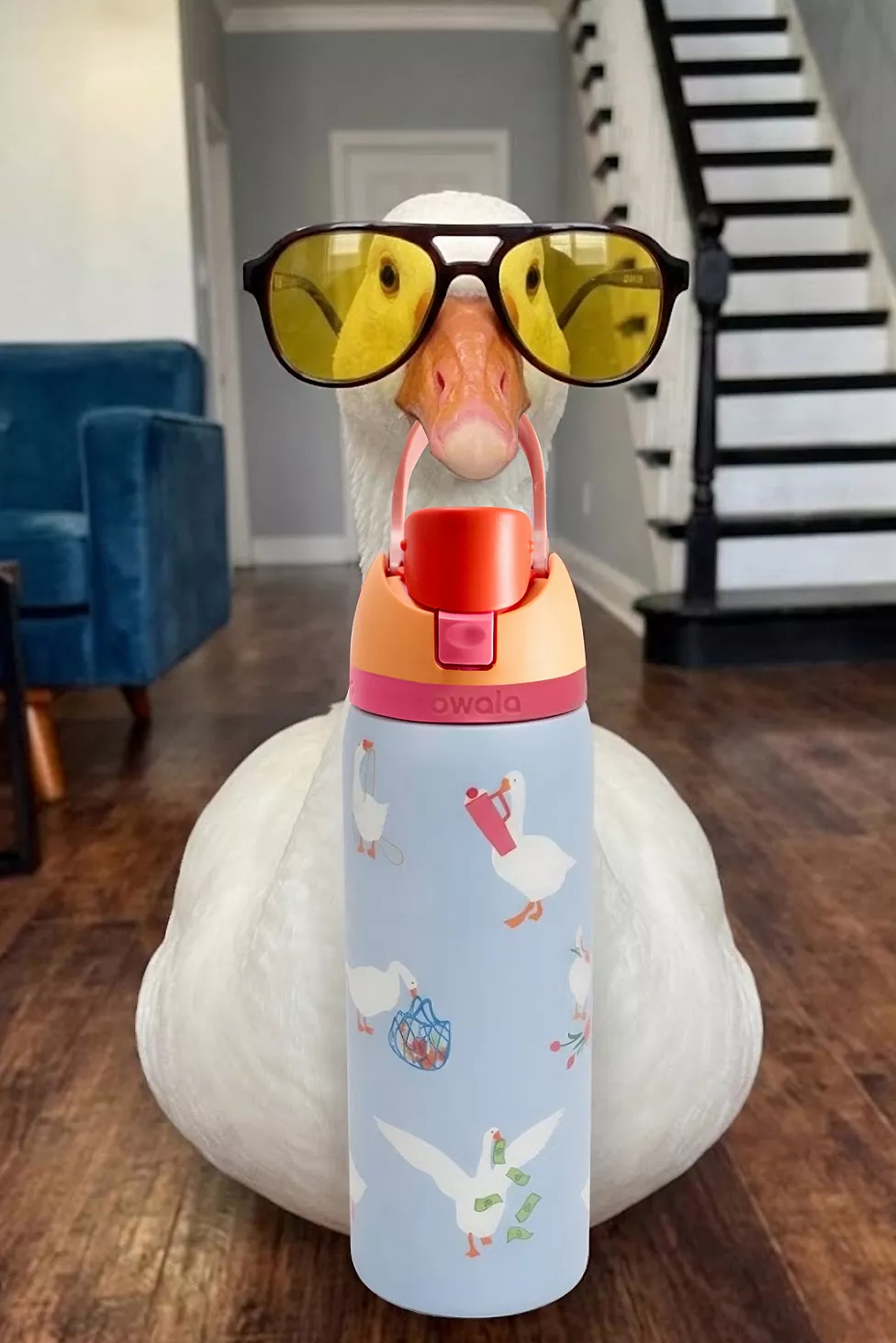 Owala UO Exclusive Silly Goose FreeSip® 0.9L / 32oz Water Bottle - Image 5